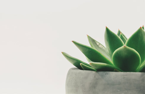 ChampionHealth Blog